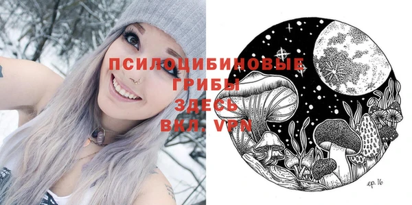 apvp Вязьма