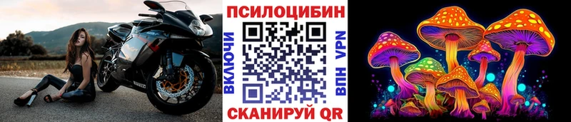 Псилоцибиновые грибы Magic Shrooms  купить закладку  Лысьва 